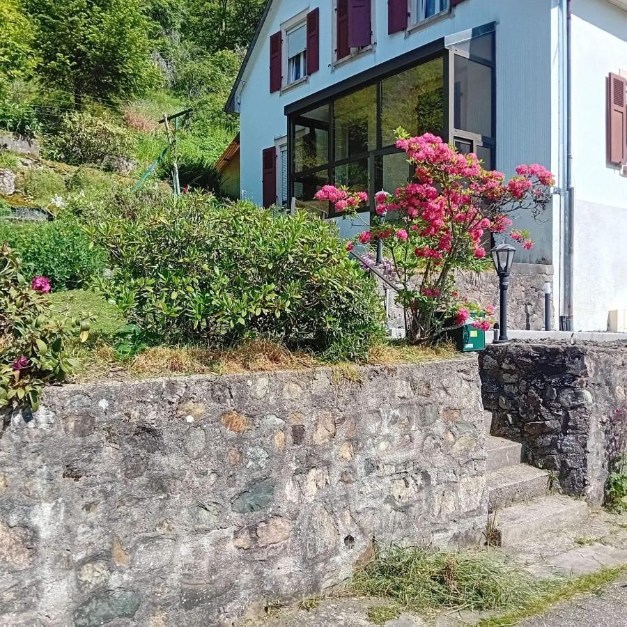 Gite Monts Et Merveilles Mollau Zewnętrze zdjęcie